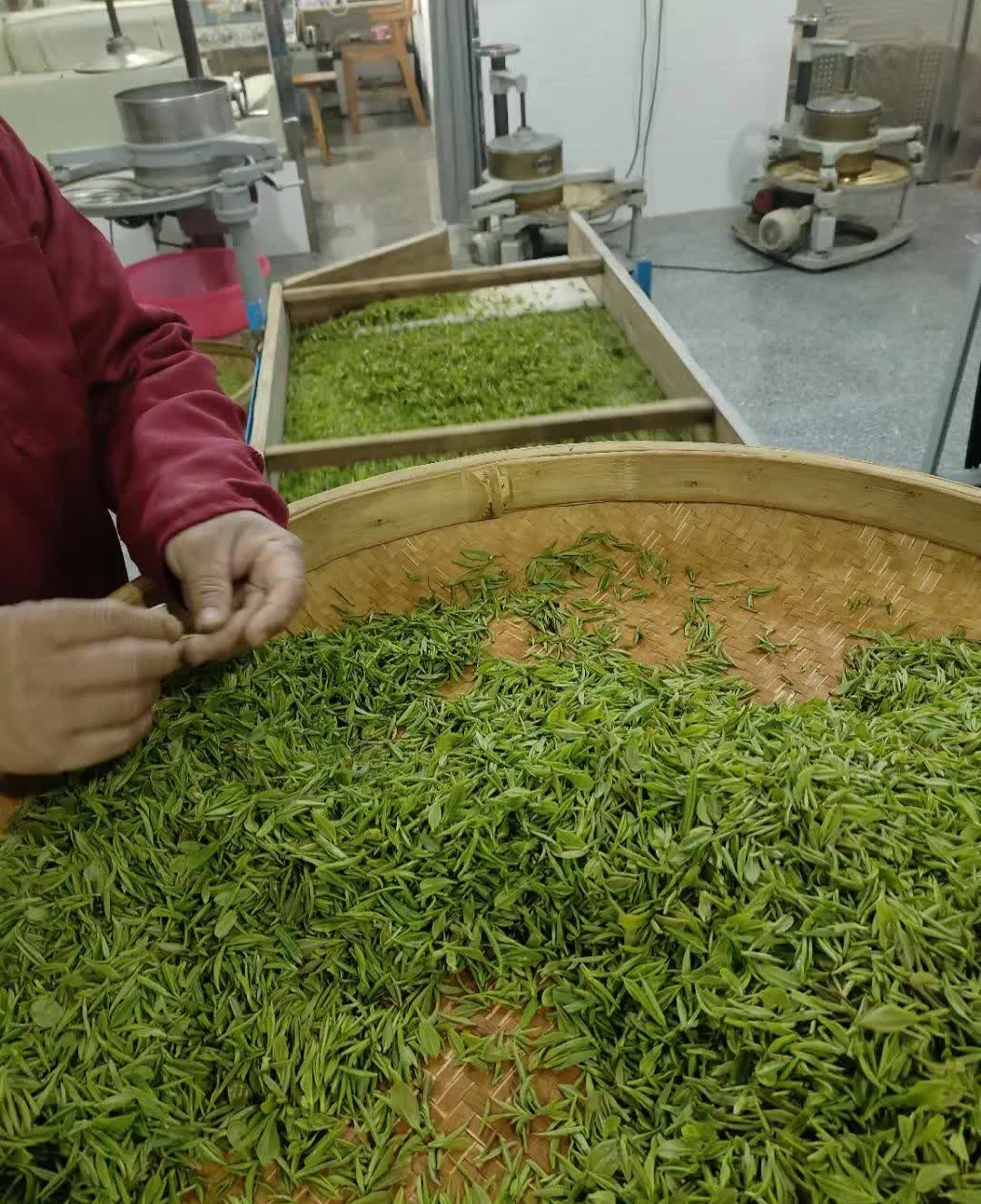 茶籮空了，心卻滿(mǎn)了